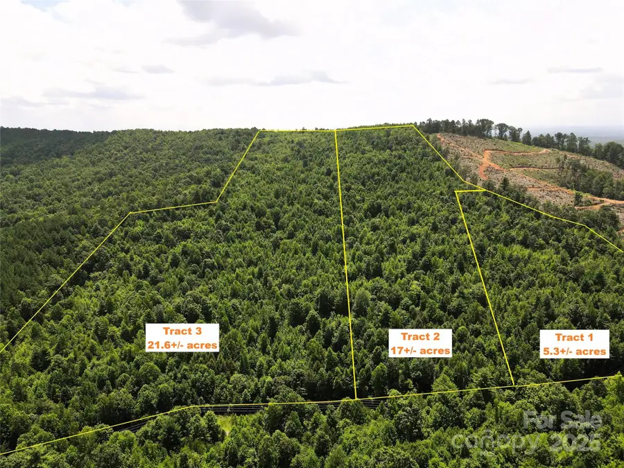 Lot 1 Mount Gilead Church Road #1, Connelly Springs, NC 28612 - Image #2