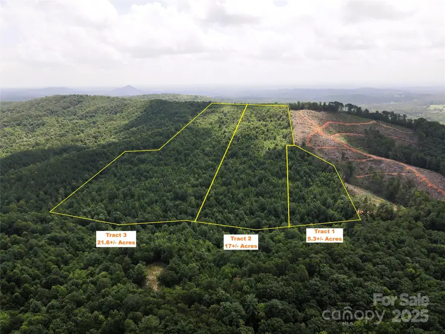 Lot 1 Mount Gilead Church Road #1, Connelly Springs, NC 28612 - Image #3