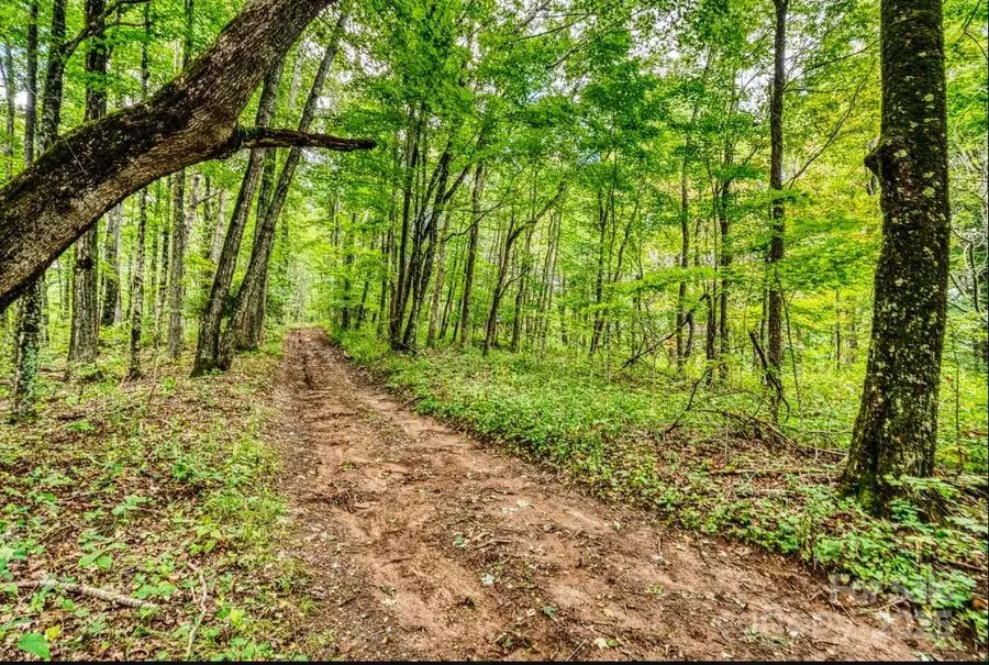 0 Cow Camp Road, Newland, NC 28657 - Image #3