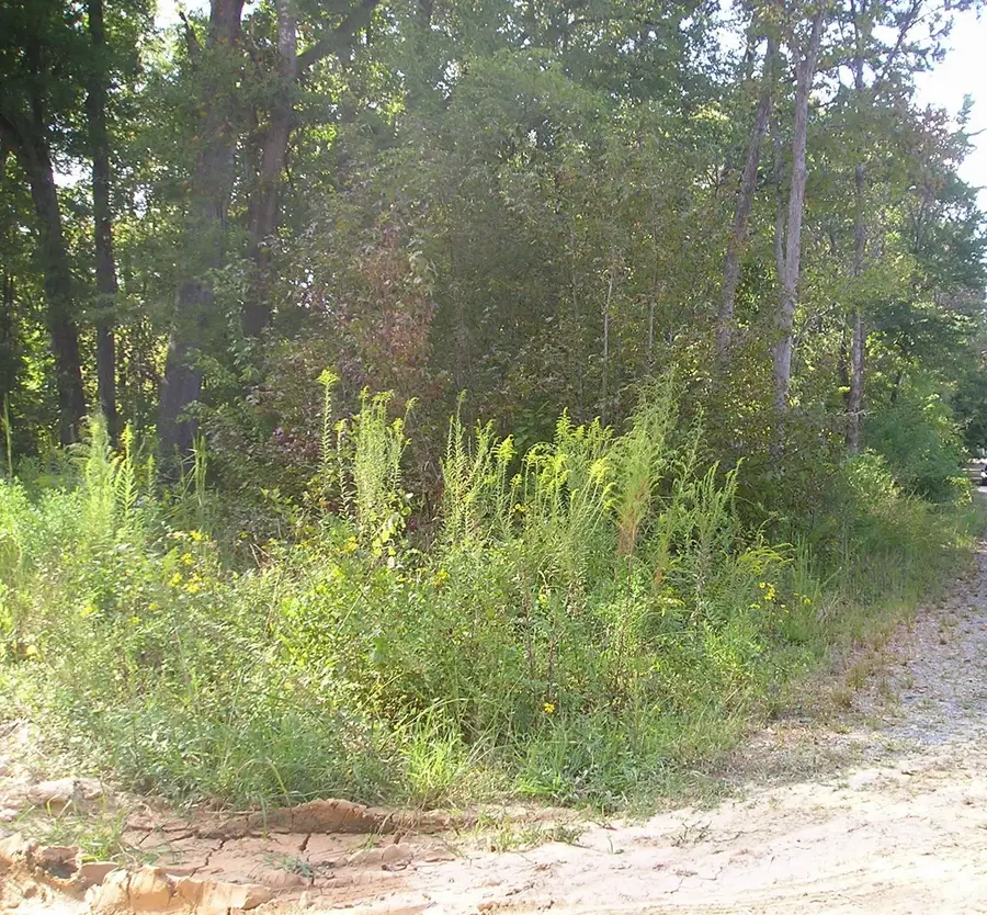 000 Old Monroe Marshville Road, Wingate, NC 28174 - Image #3