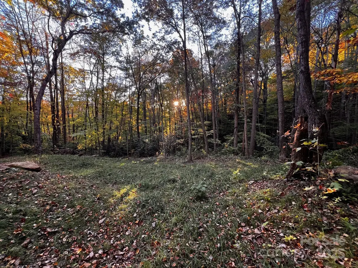 00 Rocky Face Drive #22, Canton, NC 28716 - Image #1