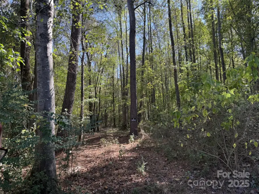 000 Short Street, Morven, NC 28119 - Image #3