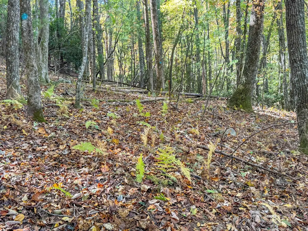 345 Christa Lane, Arden, NC 28704 - Image #1