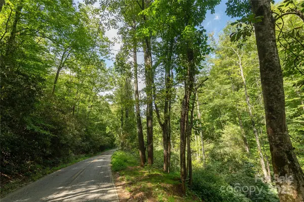 99999 Christian Creek Road, Swannanoa, NC 28778