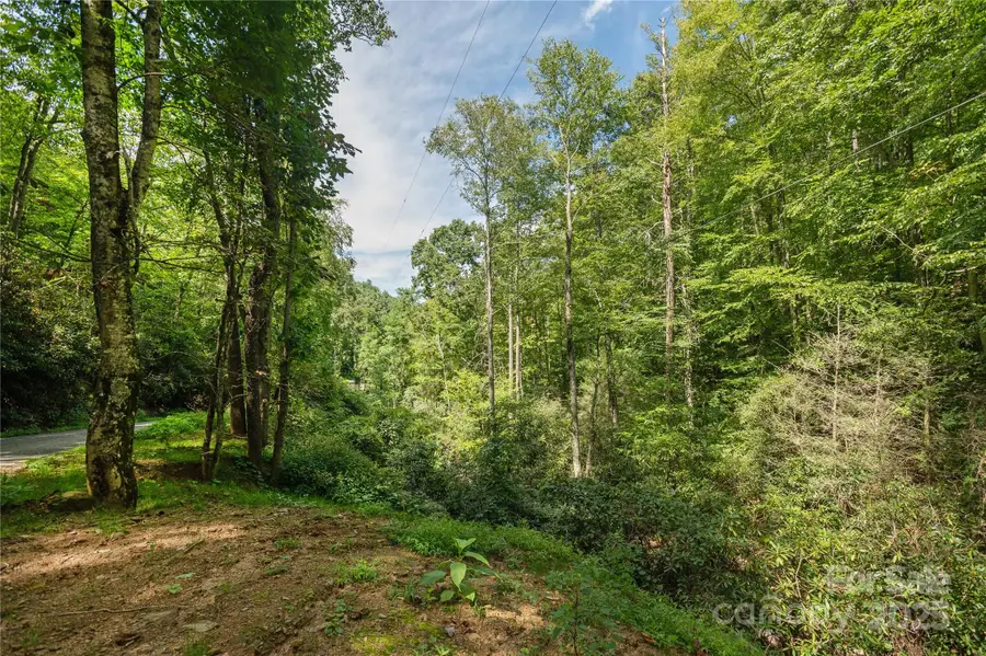 99999 Christian Creek Road, Swannanoa, NC 28778 - Image #2