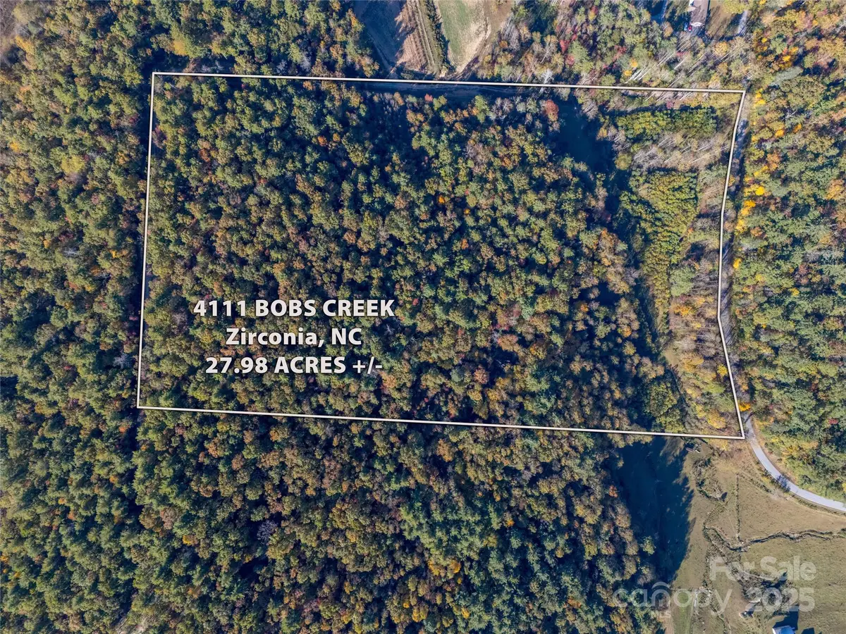 4111 Bobs Creek Road, Zirconia, NC 28790 - Image #1