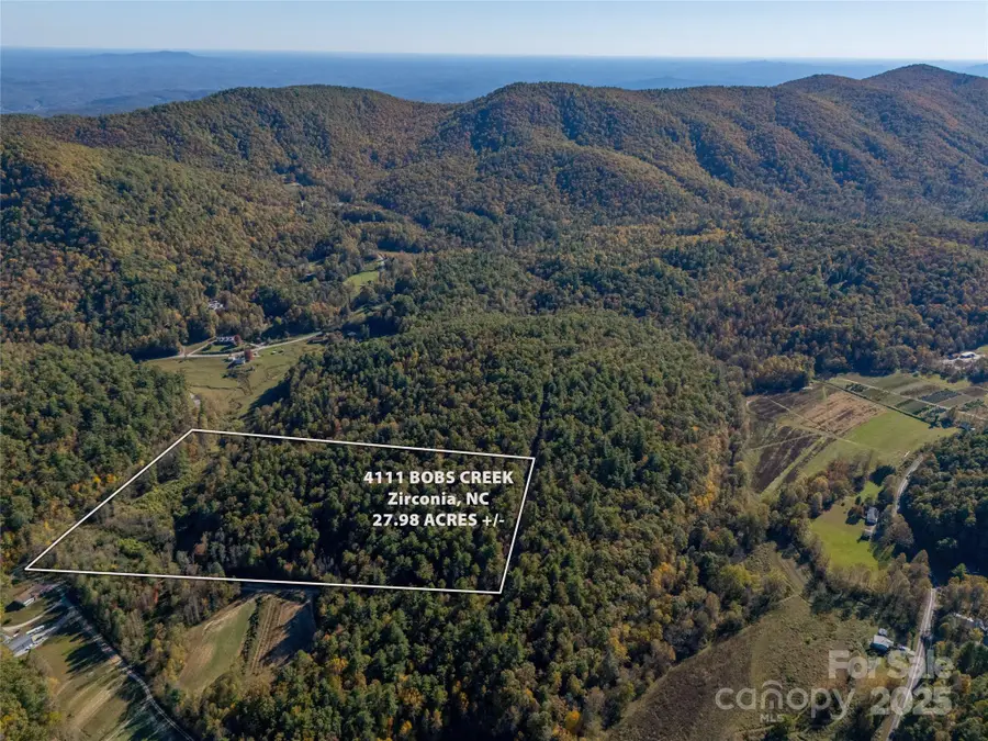 4111 Bobs Creek Road, Zirconia, NC 28790 - Image #3