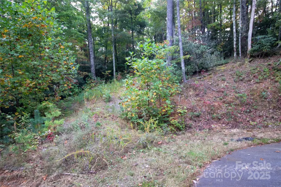 Lot# 594 Timberline Drive #594, Lenoir, NC 28645 - Image #3