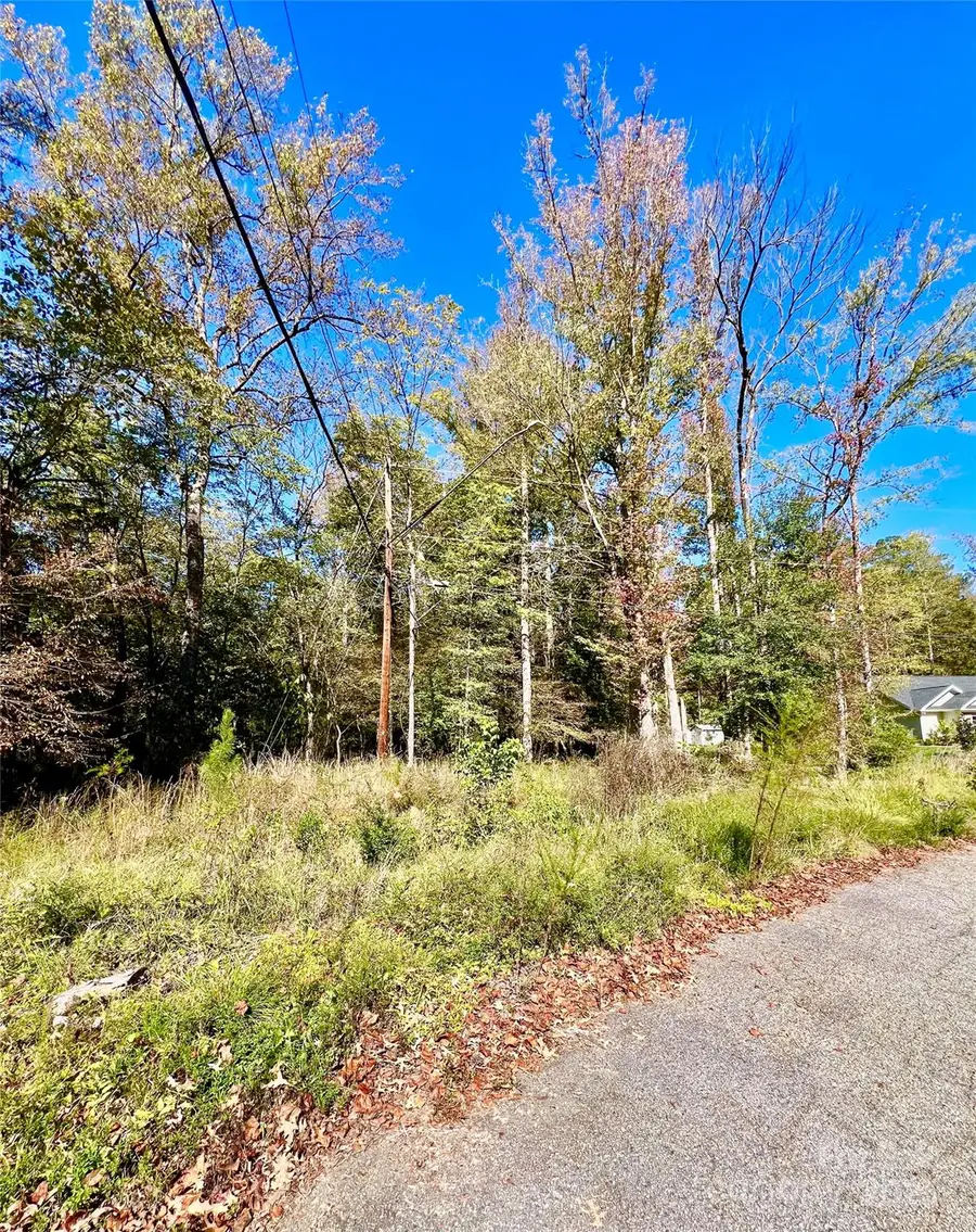 000 Riveroaks Lane, Lancaster, SC 29720 - Image #3