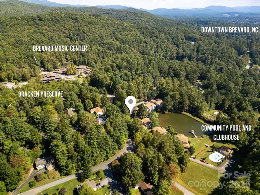 110 Lakeview Court, Brevard, NC 28712 - Image #3