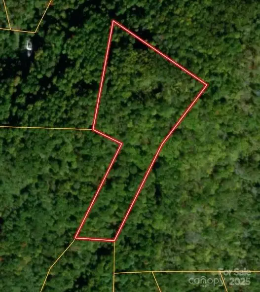 300 S Turkey Creek Road, Leicester, NC 28748 - Image #1
