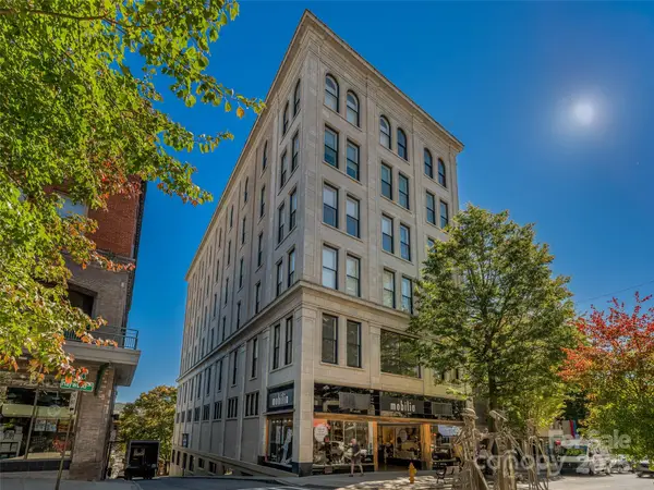 84 W Walnut Street #303, Asheville, NC 28801