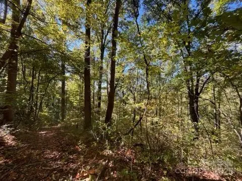 99999 Moody Cove Road, Weaverville, NC 28787 - Image #2