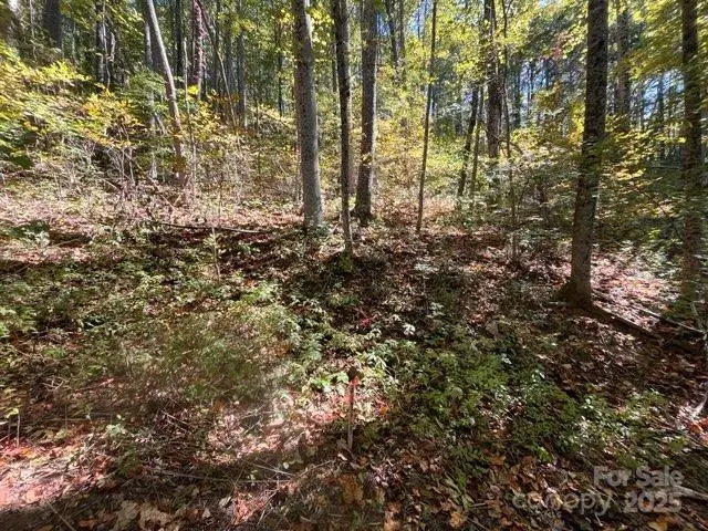 99999 Moody Cove Road, Weaverville, NC 28787 - Image #3