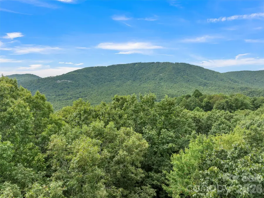 812 Crab Creek Road, Hendersonville, NC 28739 - #2