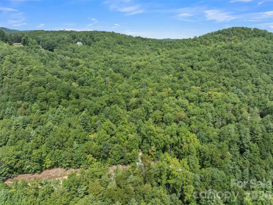 812 Crab Creek Road, Hendersonville, NC 28739 - #3