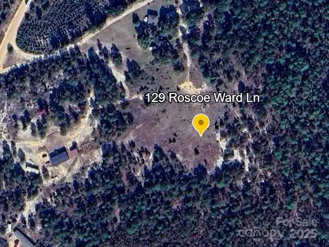 129 Roscoe Lane, Patrick, SC 29584 - Image #1