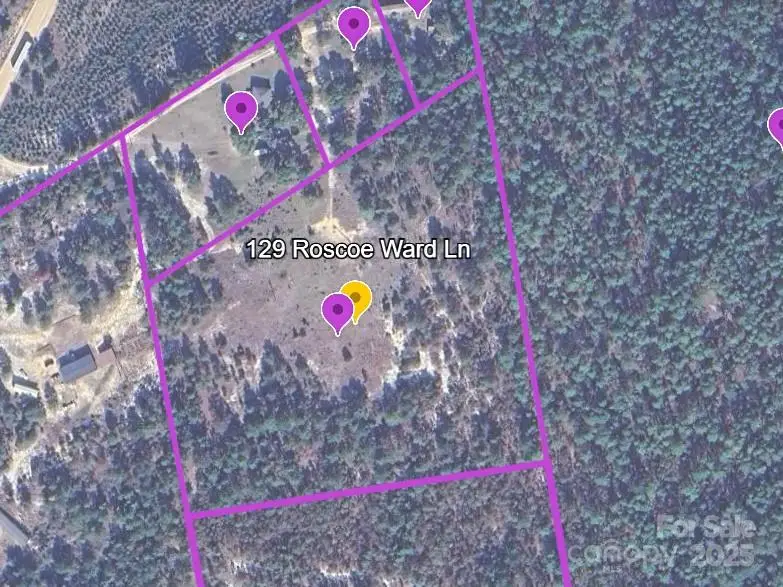 129 Roscoe Lane, Patrick, SC 29584 - Image #2