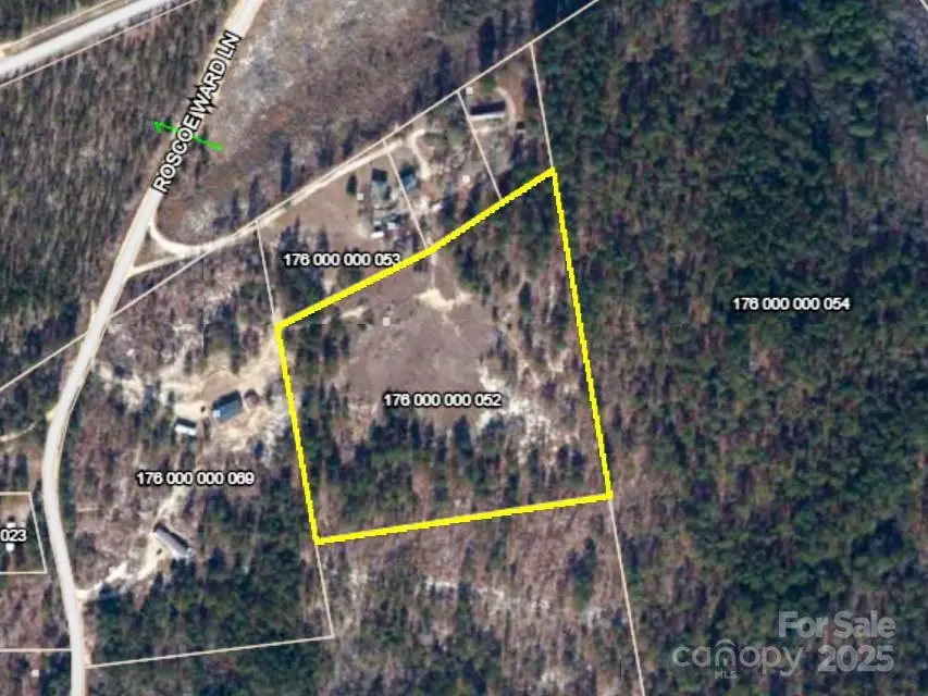 129 Roscoe Lane, Patrick, SC 29584 - Image #3