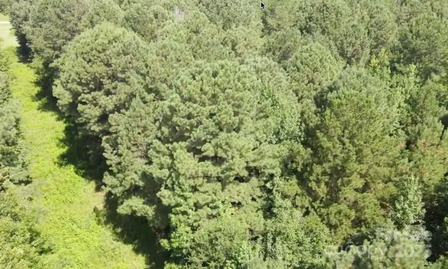 00 Sherrill Road, Wallace, SC 29596 - Image #2