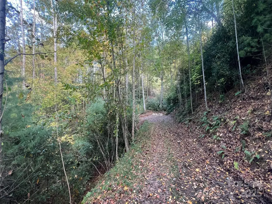 6 Dividing Ridge Trail #01, Arden, NC 28704 - Image #2