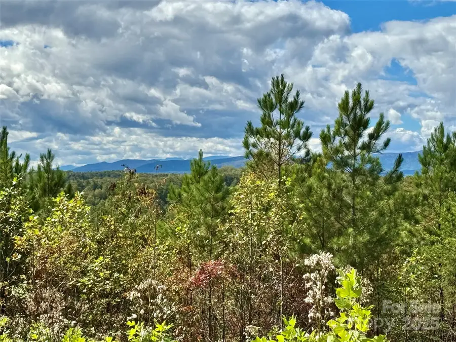 1.17 Acres 4805 Low Valley Way #Lot 956, Lenoir, NC 28645 - Image #2