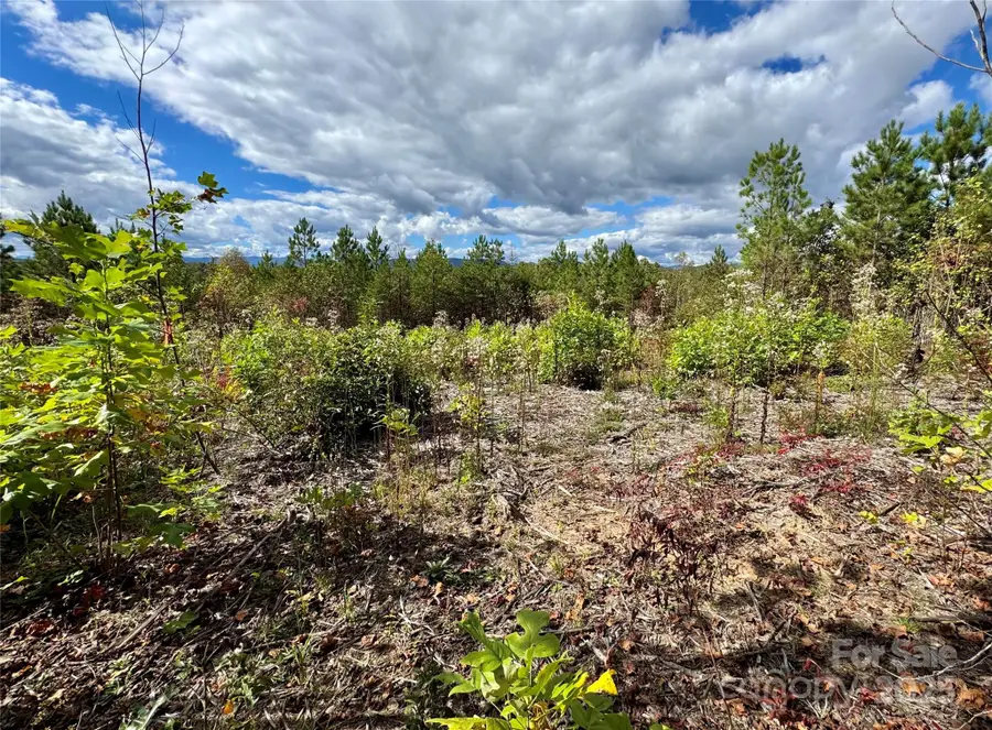 1.17 Acres 4805 Low Valley Way #Lot 956, Lenoir, NC 28645 - Image #3