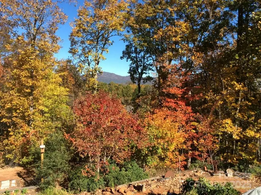 160 Caledonia Road, Landrum, SC 29356 - Image #2