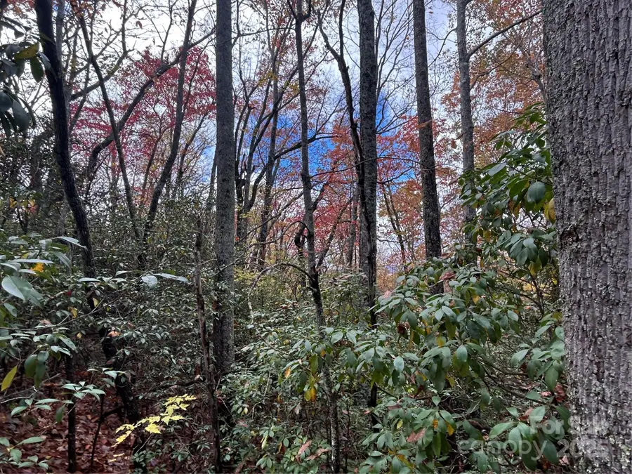 TBD High Peak Road, Etowah, NC 28792 - Image #2