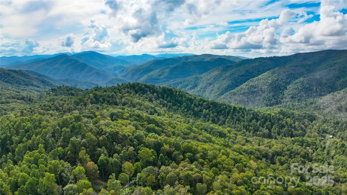 999 Poplar Creek Road, Green Mountain, NC 28740 - Image #1
