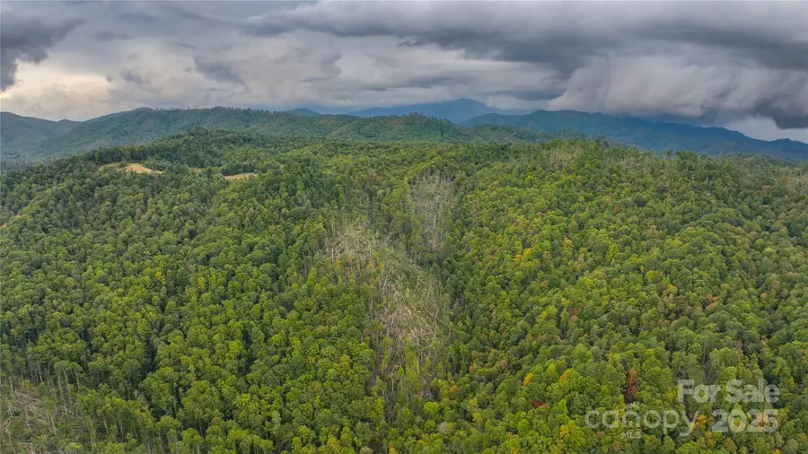 999 Poplar Creek Road, Green Mountain, NC 28740 - Image #2