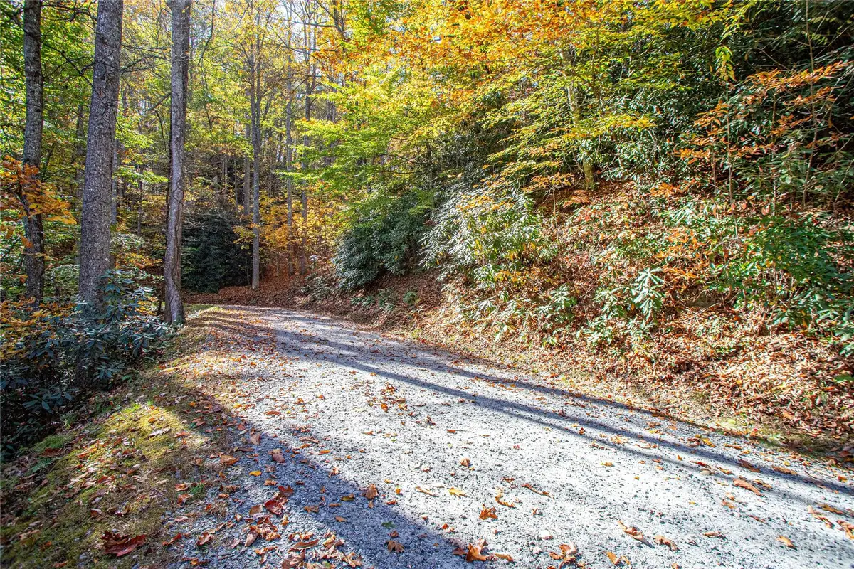 TBD Reserve Road #9A, Brevard, NC 28712 - Image #1