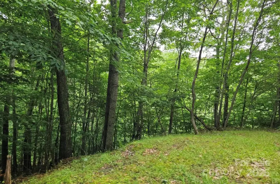 Lot 3 Mountain View Road, Burnsville, NC 28714 - Image #2