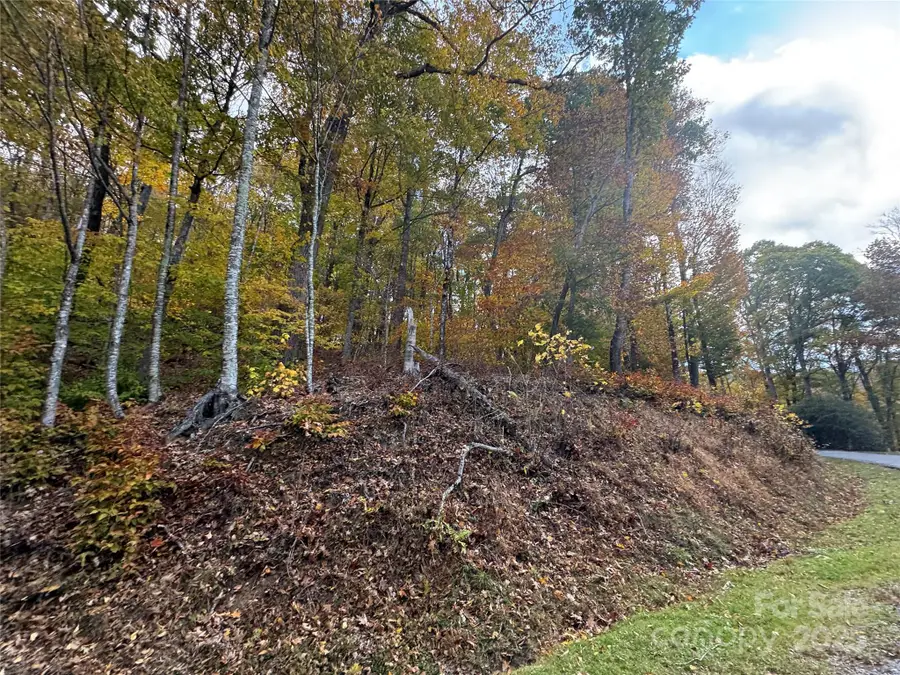 678/679 El Miner Drive, Mars Hill, NC 28754 - Image #2