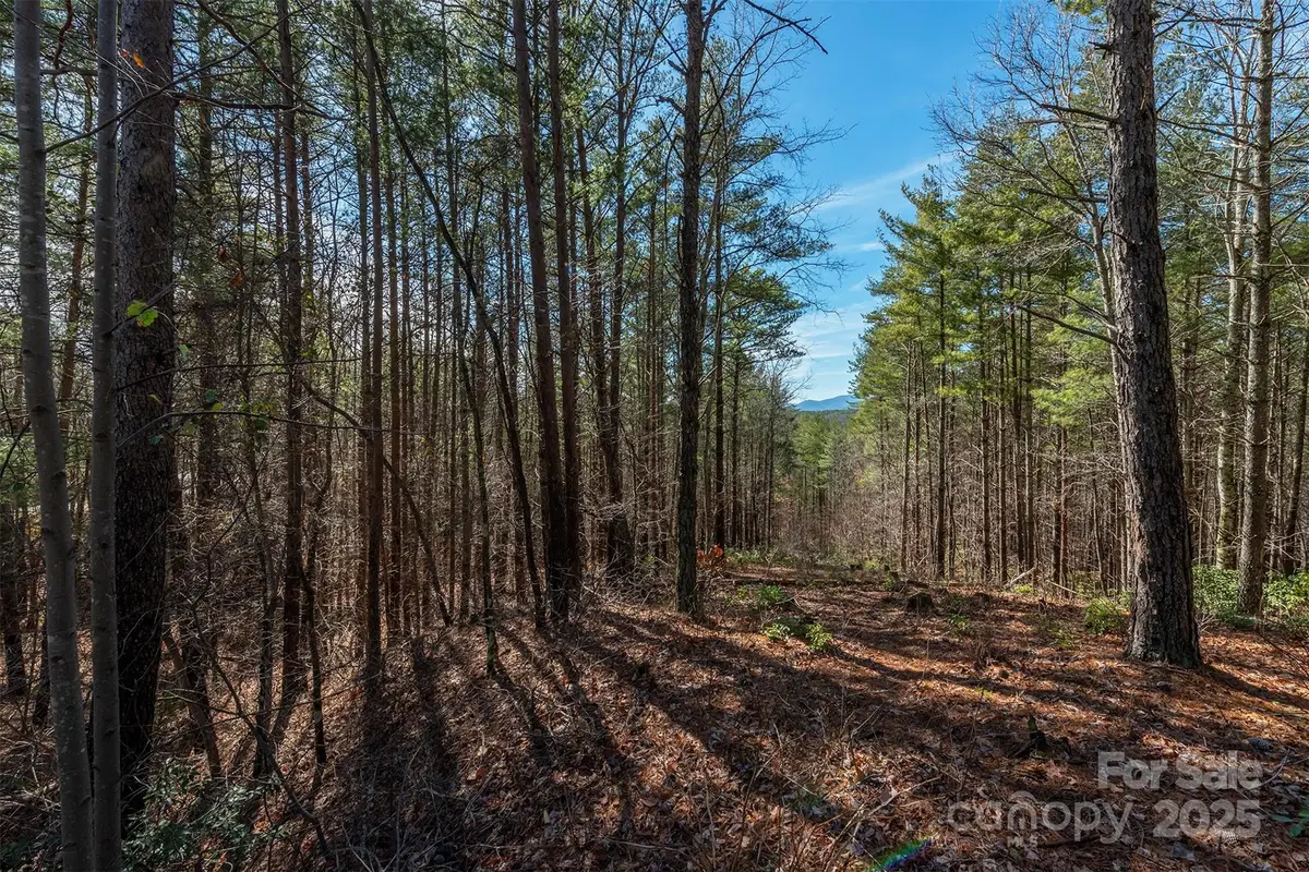 1683 Pisgah Preserve Drive, Nebo, NC 28761 - #1