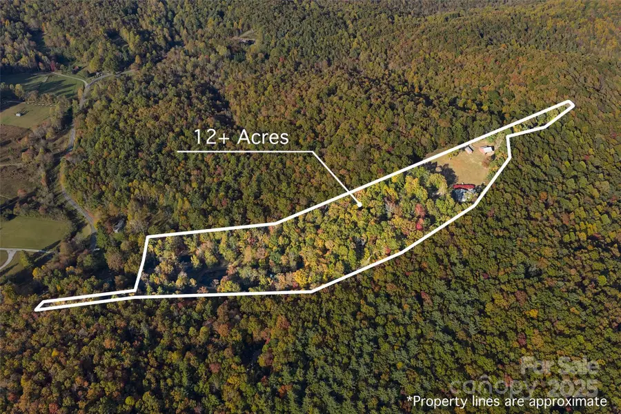 325, 141 & 75 Owl Haven Lane, Cedar Mountain, NC 28718 - Image #3