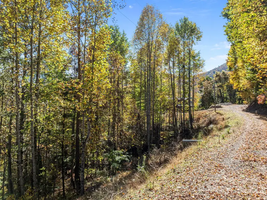 Lots 61 and  62 Wildwood Drive, Burnsville, NC 28714 - Image #2