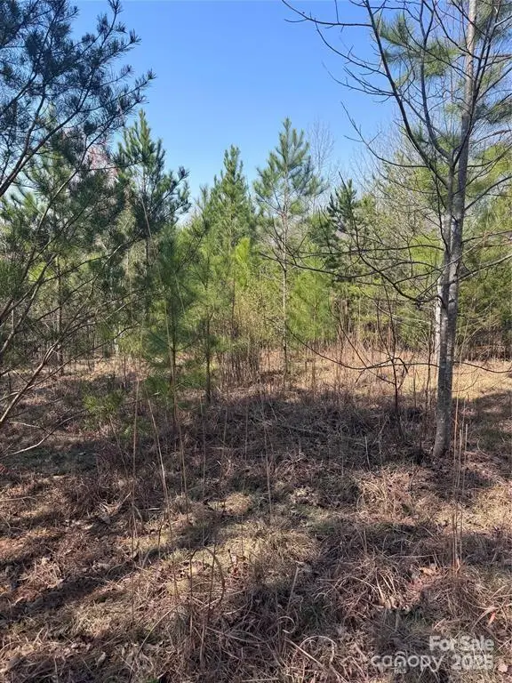 0 Cross Creek Drive #277, Rutherfordton, NC 28139