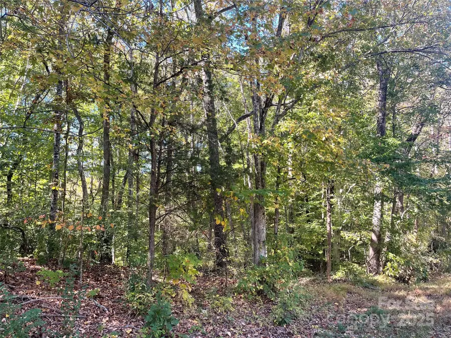 237 Lamplighter Lane, Mount Holly, NC 28120 - Image #3