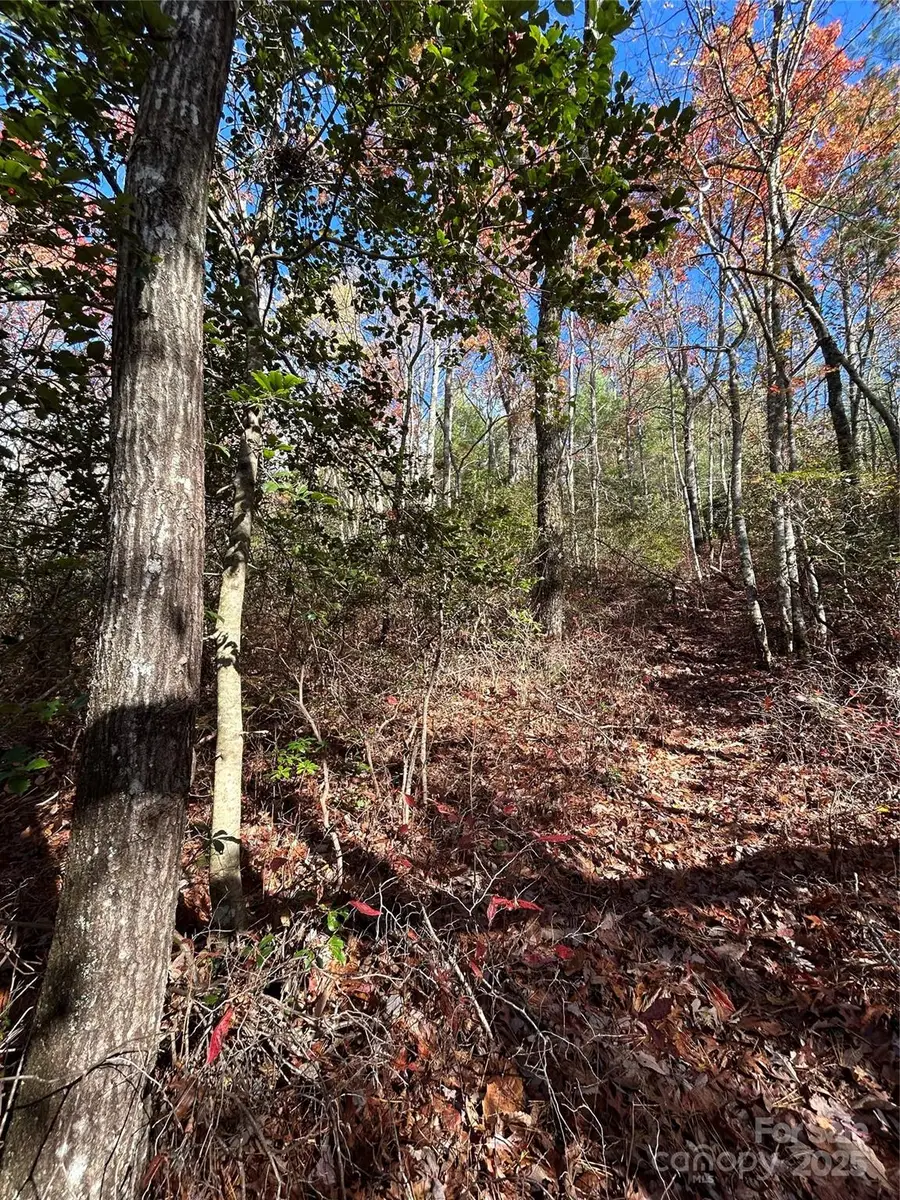 Lot 3 and 4 Oriole Road, Brevard, NC 28712 - Image #2