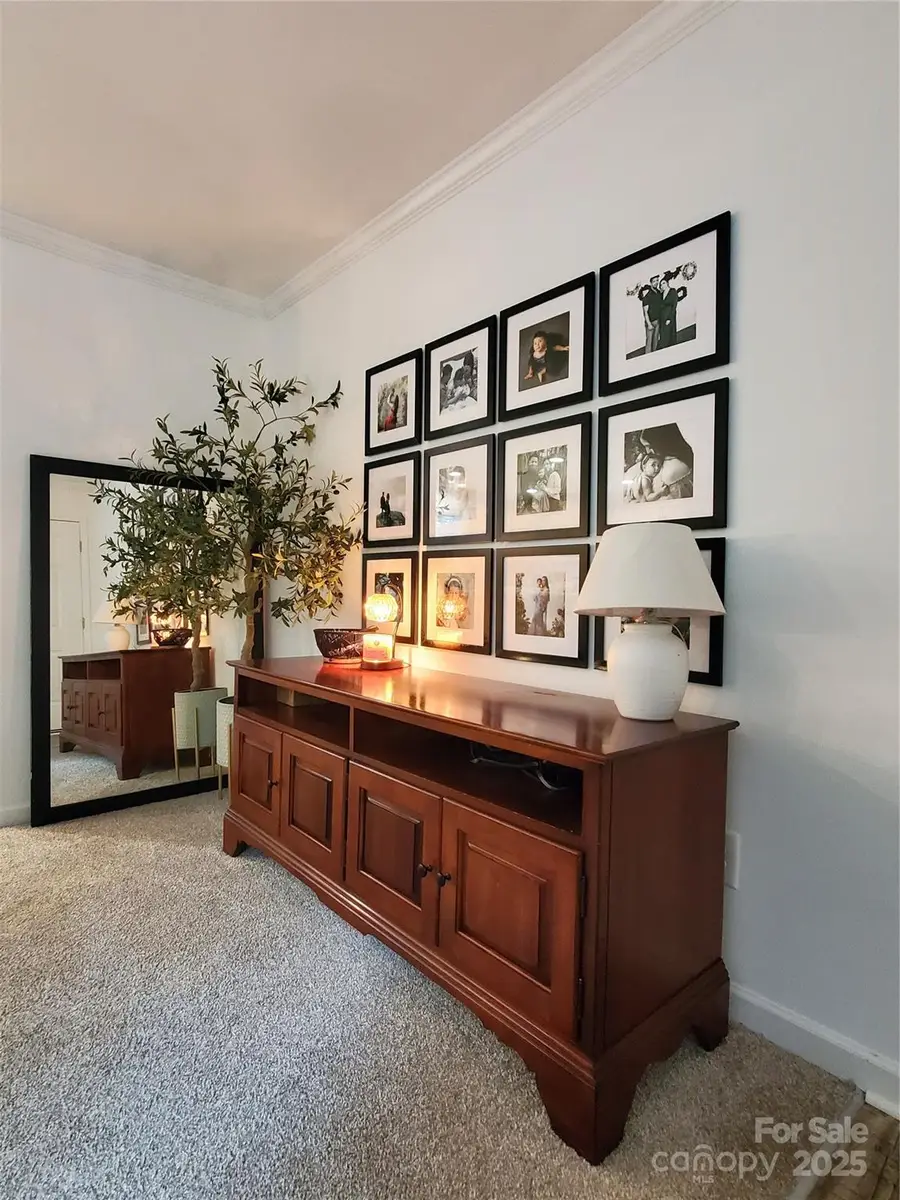 118 Valley Springs Drive, Olin, NC 28660 - Image #3