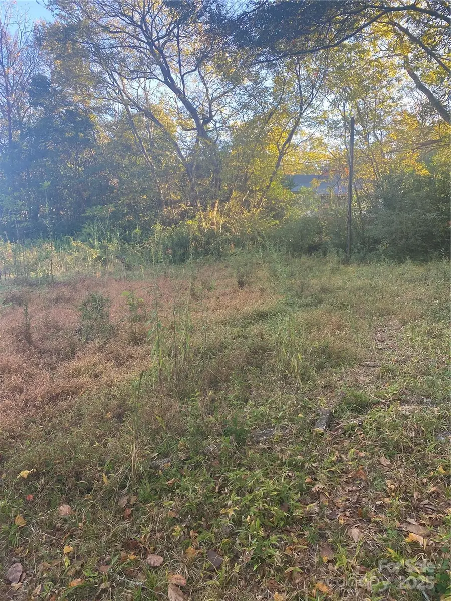 439 South Avenue, Lancaster, SC 29720 - Image #3