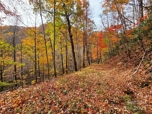 355 Moonshineholler Drive, Maggie Valley, NC 28751