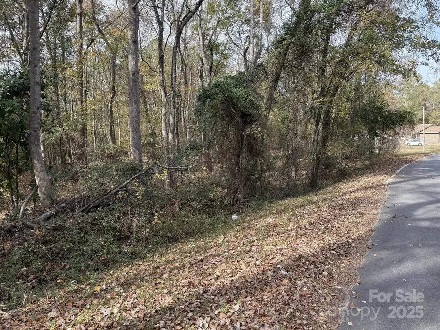 000 Tanglewood Lane, Great Falls, SC 29055 - Image #2