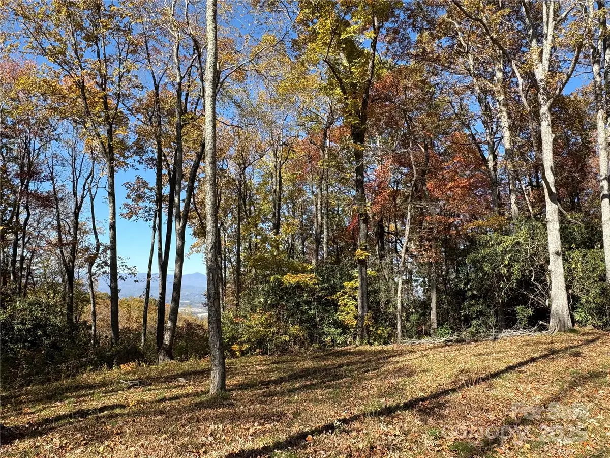 45 Trillium Garden Trail #Lot 29, Fletcher, NC 28732 - Image #1
