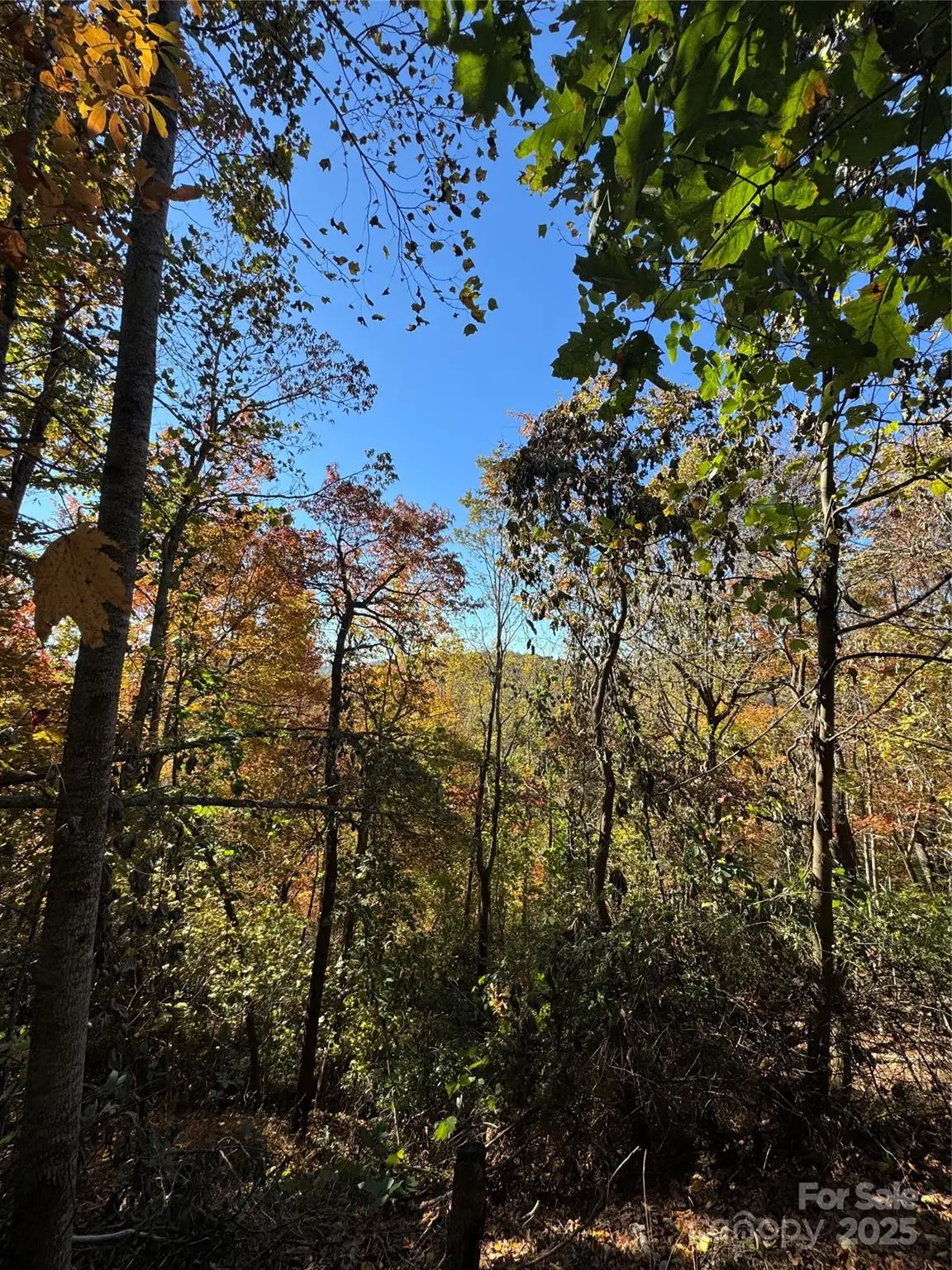 9999 Hemlock Trail, Laurel Park, NC 28739 - Image #1