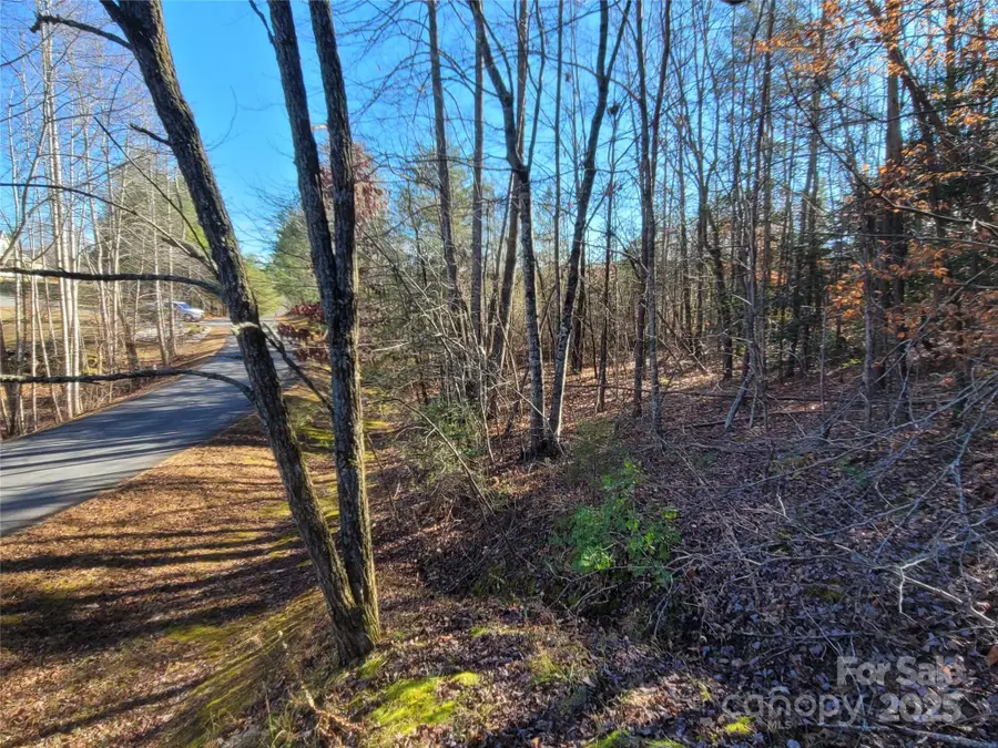 0 Mcowenben Pass #18, Lake Lure, NC 28746 - Image #2