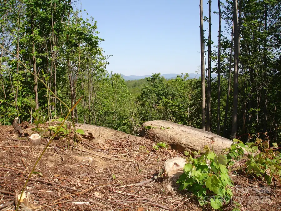 TBD Black Lark Drive, Marion, NC 28752 - Image #2