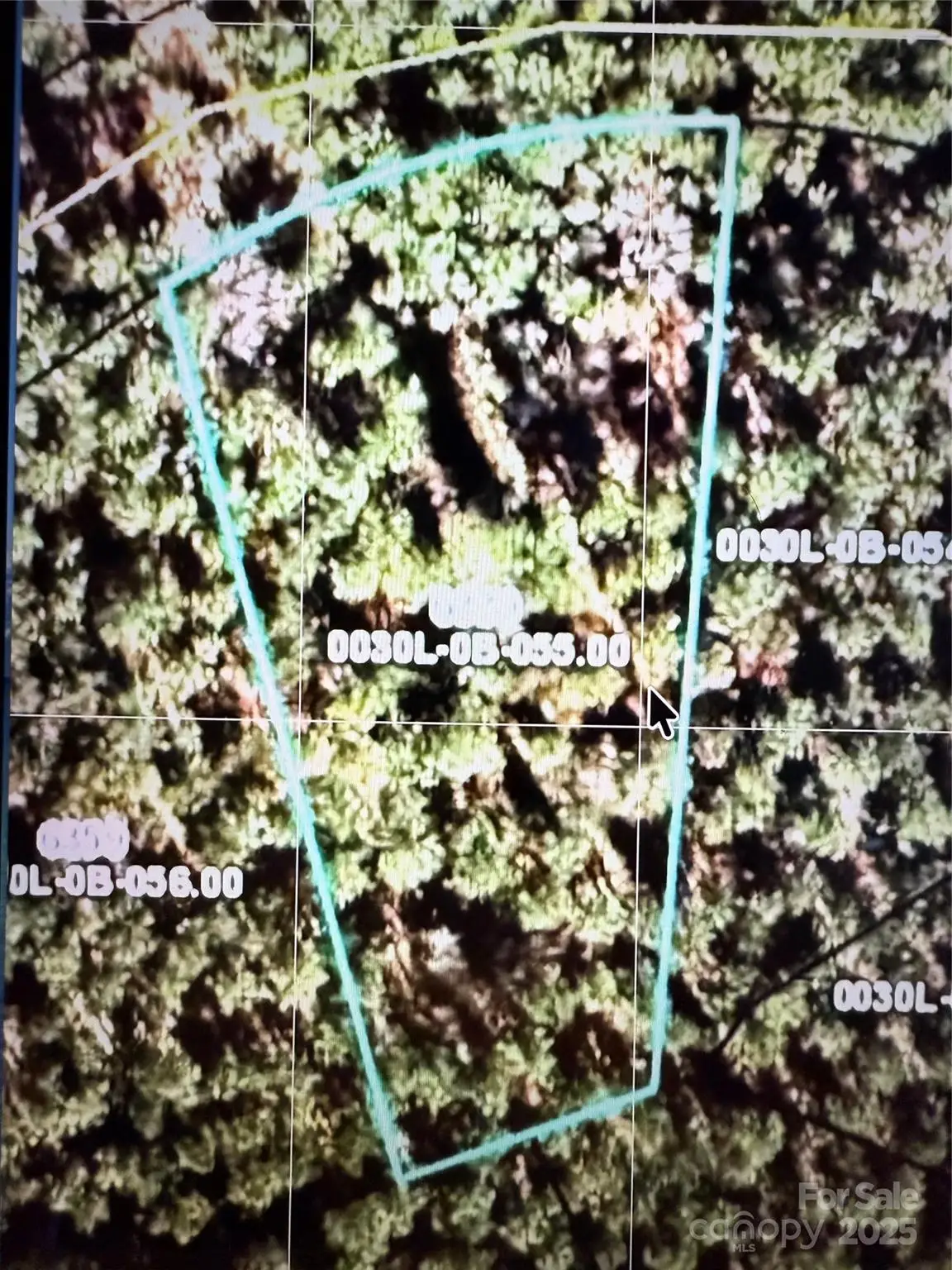 6339 Chimney Bluff Road, Lancaster, SC 29720 - Image #1