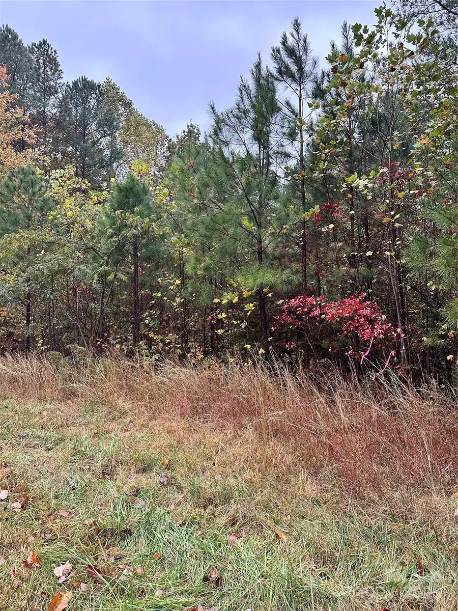 10.863 Acres Myers Mill Road, Statesville, NC 28625 - Image #2